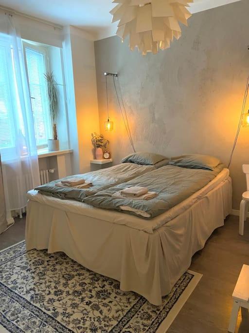 Glorious Apartment In Hakaniemi เฮลซิงกิ ภายนอก รูปภาพ